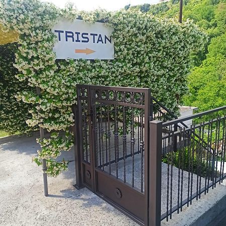 Apartman Tristan 헤르섹 외부 사진