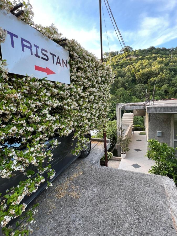 Apartman Tristan 헤르섹 외부 사진