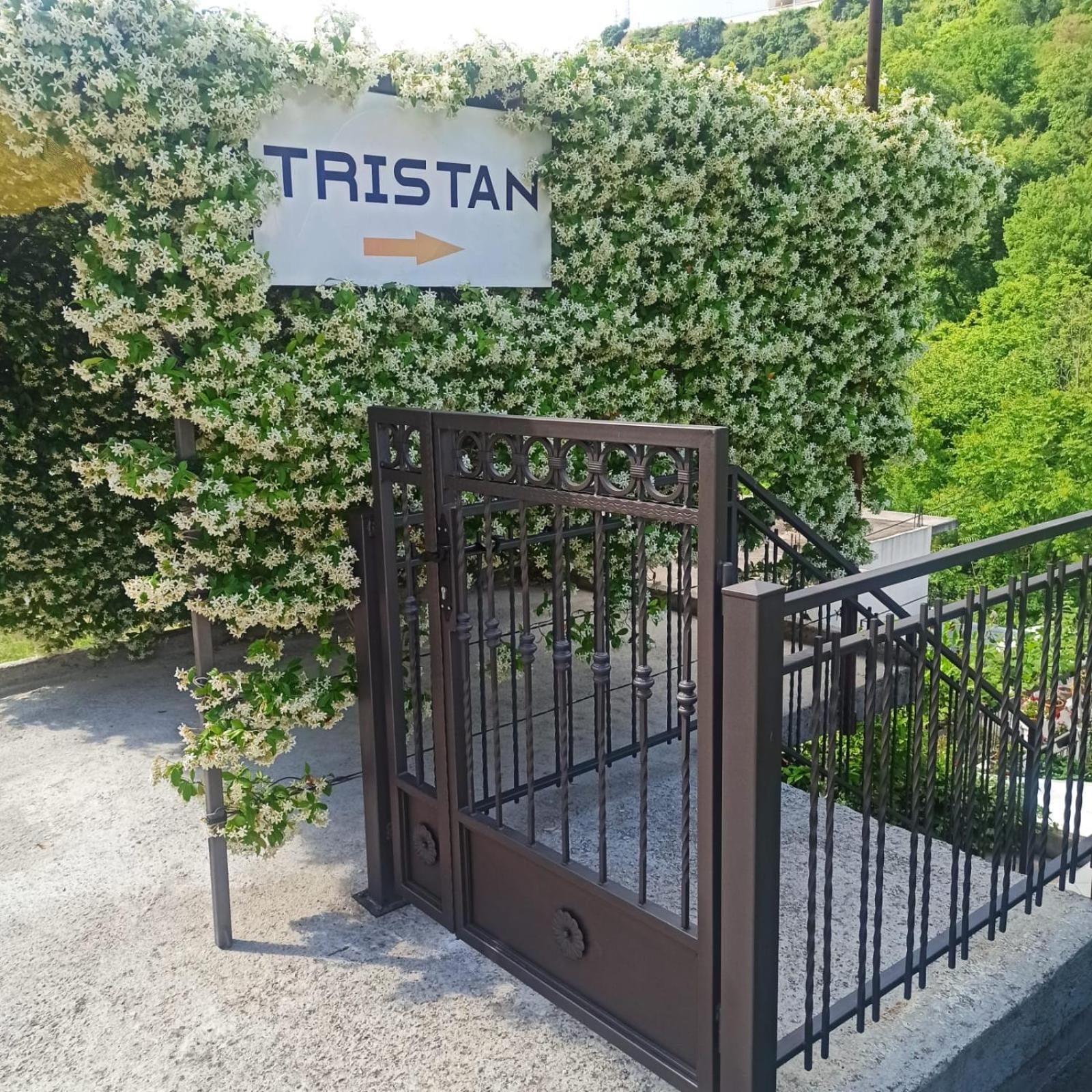 Apartman Tristan 헤르섹 외부 사진